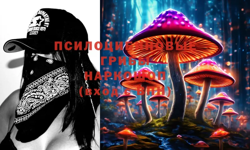 Псилоцибиновые грибы MAGIC MUSHROOMS  Закаменск 